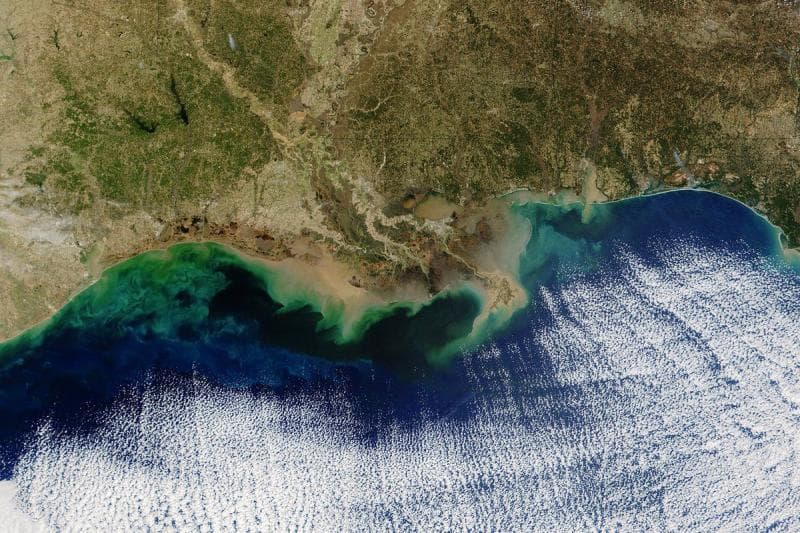 Zona mati di Teluk Meksiko disebabkan polusi parah. Di sana, nggak ada kadar oksigen di air yang membuat mahluk lautan mati. (Vox/NASA)