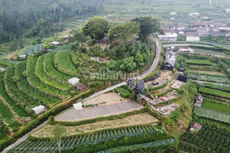 Foto udara Merbabu View and Café yang diapit perkebunan warga.