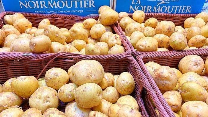 La Bonnotte Potato, Kentang Termahal di Dunia dengan Rasa Unik