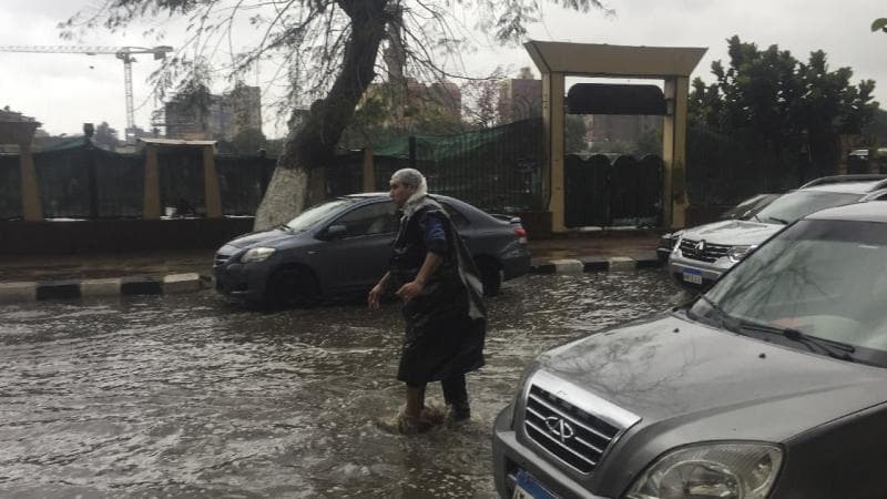 Perubahan iklim memicu hujan badai dan banjir di Aswan, Mesir, yang berimbas pada serangan kalajengking. (nationofchange.org)