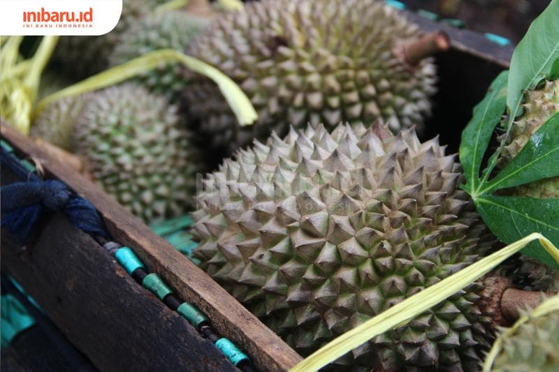 Ada sejumlah daerah di Jawa Tengah yang punya varian khas durian. (Inibaru.id/Triawanda Tirta Aditya)