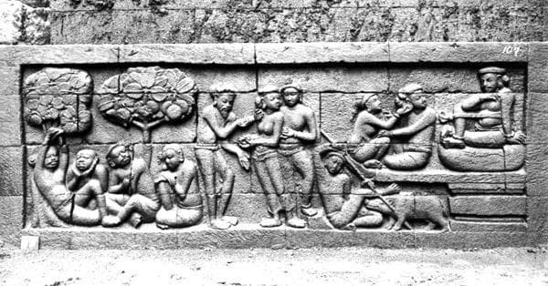 bentuk ukiran babi dalam relief Karmawibhangga di kaki Candi Borobudur. (Historia)