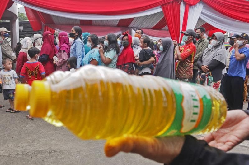 Ilustrasi: Minyak goreng masih langka dan mahal di Jateng dan DIY. (Media Indonesia)