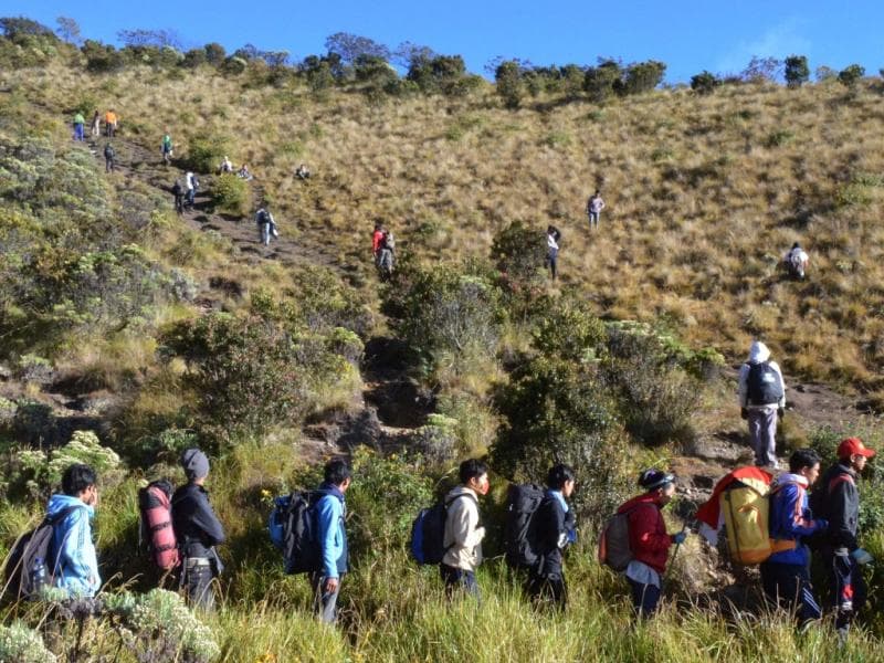 Mitos warga Cepu dan Bojonegoro dilarang mendaki Gunung Lawu. (Medcom/Antara Foto/Fikri Yusuf)