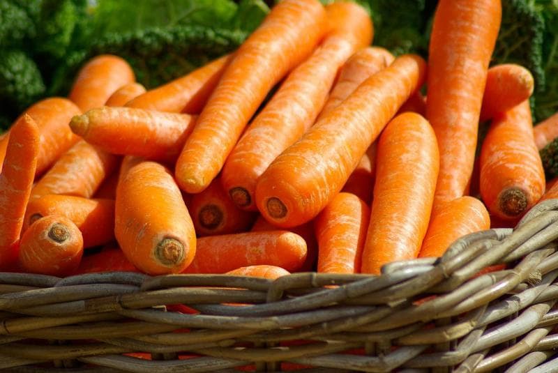 Sebuah penelitian mengatakan bahwa memasak wortel sebenarnya meningkatkan nilai gizi. (Pixabay/Jackmac34)