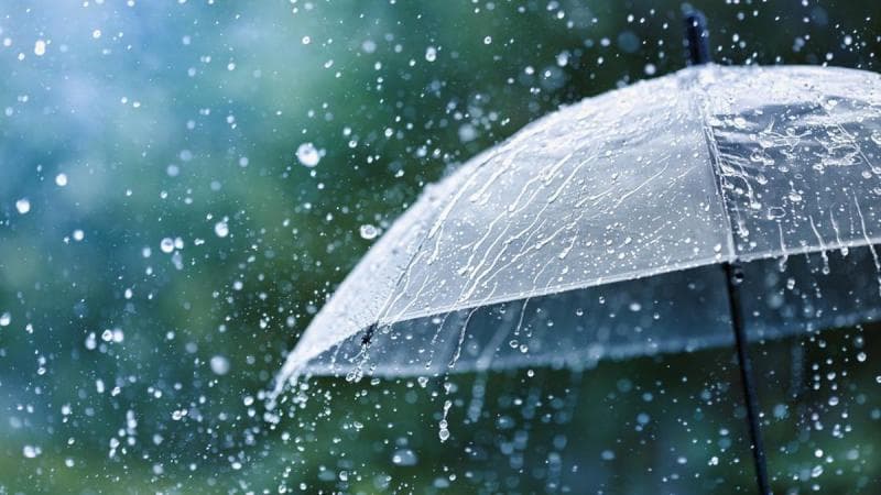 Selain sering membuat suasana hati menjadi sendu, air hujan juga memberikan efek menenangkan bagi yang mendengarkan. (Istockphoto/Julia_Sudnitskaya)