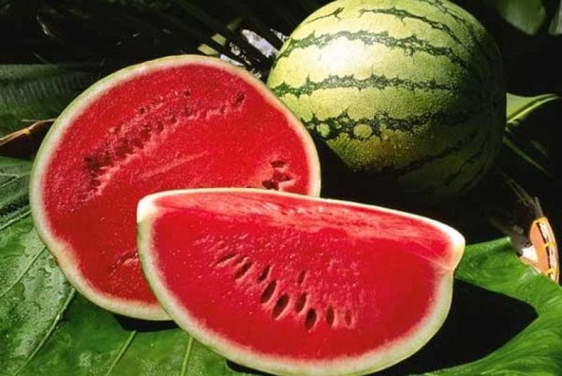 Karena mengandung 90 persen air, semangka membuatmu selalu terhidrasi dan kenyang lebih lama. (Boldsky)