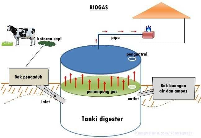 Ilustrasi pembuatan biogas dari kotoran sapi.(Kompasiana/Venusgazer)