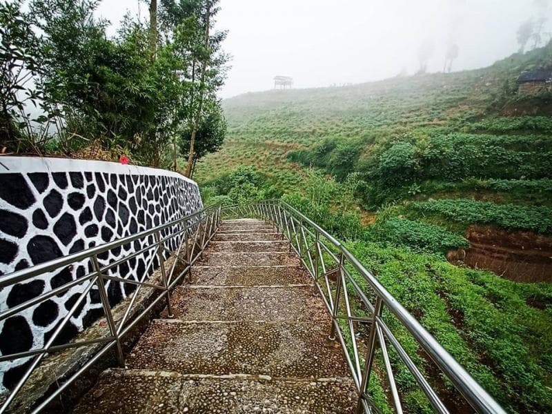 Anak tangga menuju lokasi sumur Jalatunda. (Instagram/Oriletsa Osa)