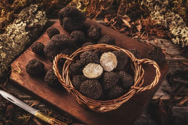 Jamur truffle merupakan bahan makanan yang bisa menunjang rasa dan gengsi sebuah hidangan. (Cruchpixel)