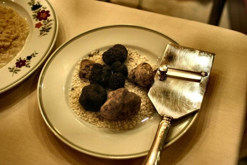Dua jenis spesies jamur truffle yan bernilai paling mahal adalah truffle hitam dari Prancis dan truffle putih dari Italia. (Pexels/Andrea Piacquadio)