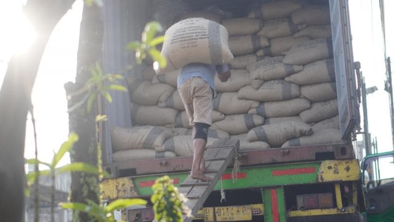 5 Kontainer Kopi Robusta Temanggung Siap Diekspor ke Asia dan Eropa