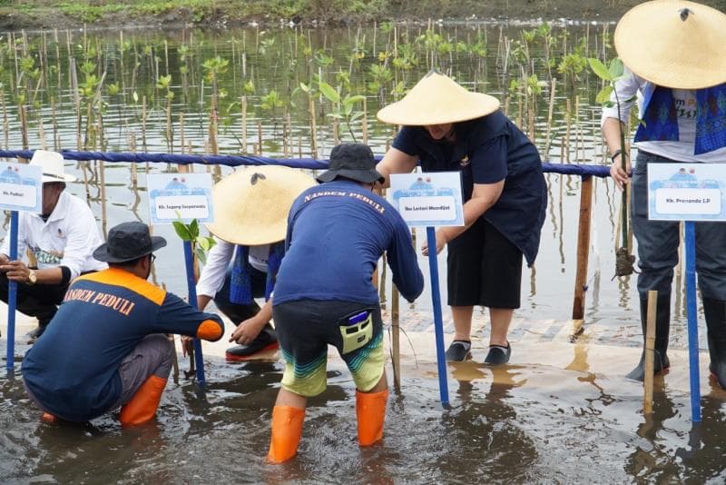 Bergerak Bersama, Sulam Bibir Pantai dengan Bibit Mangrove di Pantai Tirang