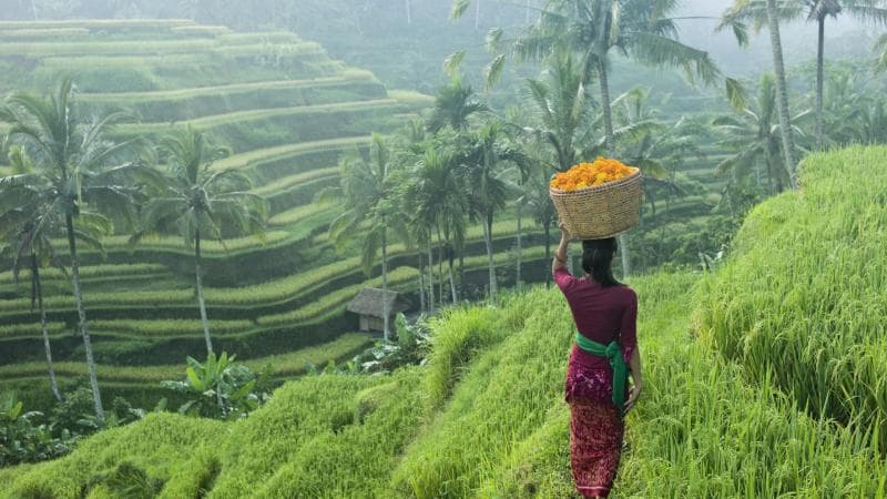 Wisata Alam Berkontribusi dalam Mengurangi Emisi Karbon