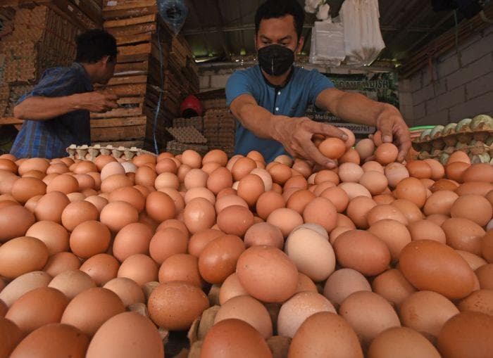 Untuk pengiriman telur, pihak ekspedisi meminta biaya tambahan sebesar 12 persen imbas dari kenaikan BBM. (MI/Antara/Asep Fathulrahman)