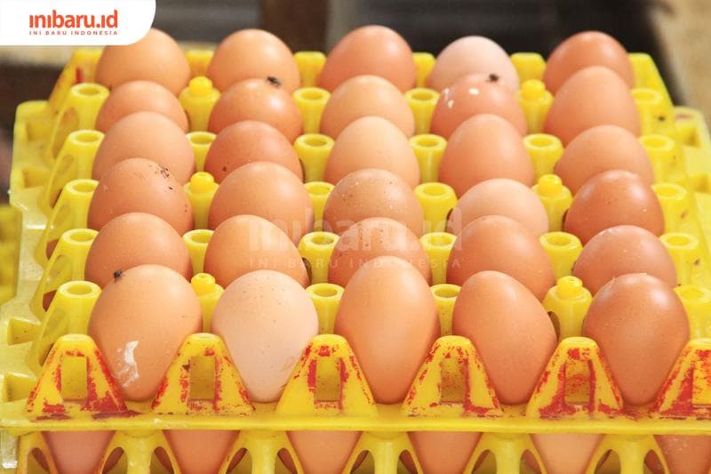 Ilustrasi: Peternak telur mulai mulai merugi kembali. Dalam jangka waktu panjang, akan terjadi penurunan populasi ternak lagi. (Inibaru.id/ Triawanda Tirta Aditya)