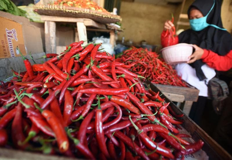 Di pasar tradisional Klaten, harga cabai mengalami kenaikan akibat kenaikan harga BBM. (Antara)