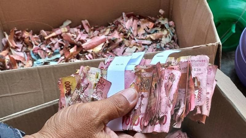 Pihak Bank Indonesia mengecek uang tabungan Samin. (detikJateng/Agil Trisetiawan Putra)