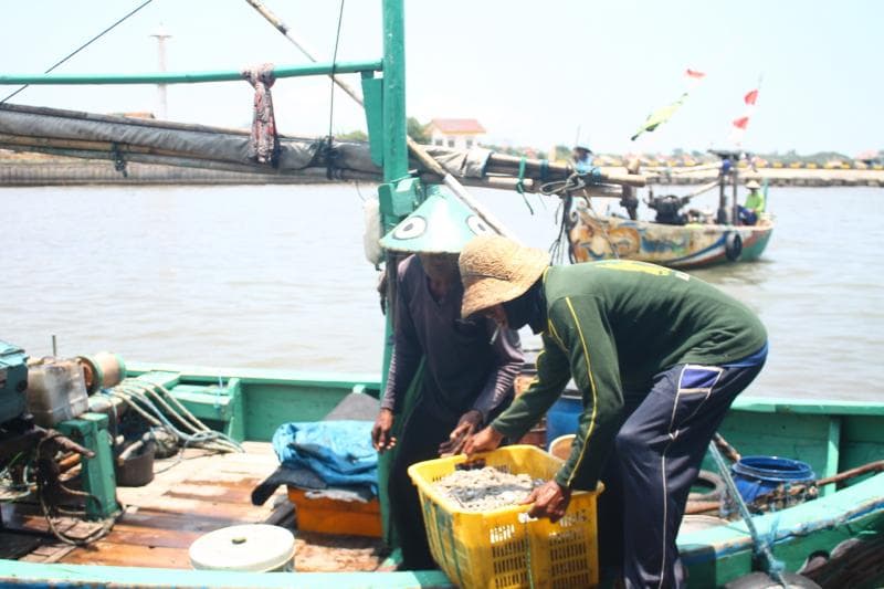 BBM naik membuat nelayan banyak yang merugi dan memilih nggak melaut. (Medcom/MTVN/Rhobi Shani)