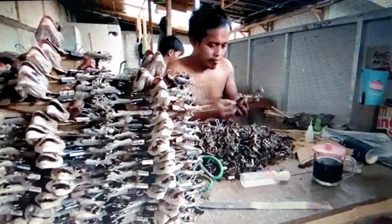 Eko Supriyanto, produsen dendeng tokek dari Banjarnegara. (iNews)