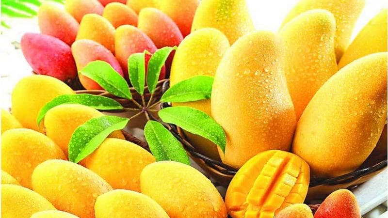 Ilustrasi: Mangga adalah salah satu buah dengan tinggi karbohidrat yaang nggak disaranakan dikonsumsi penderita diabetes. (Ahdwallpaper)