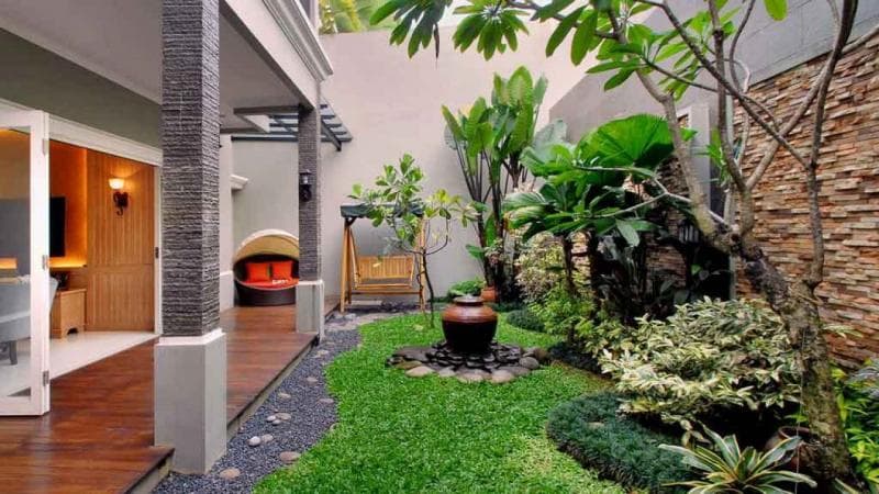 Pohon-Pohon yang Cocok untuk Rumah Minimalis