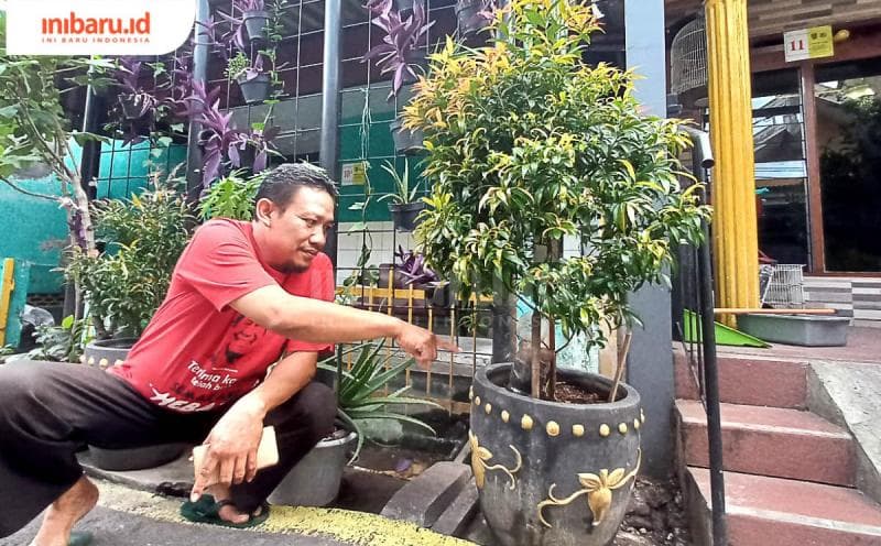 Ketua Bank Sampah Budi Hartojo menunjukkan kompos yang diletakkan di pot tanaman kepunyaan salah seorang warga di Kampung Tiber. (Inibaru.id/ Fitroh Nurikhsan)