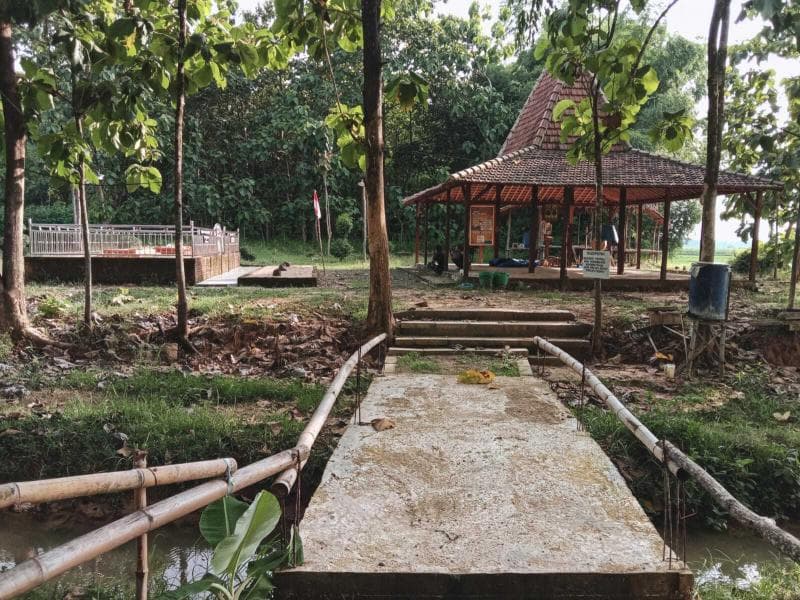Dusun Singget merupakan dusun yang ada di Pati dan sudah lama ditinggalkan penduduknya. (Hesty Nuraziza)