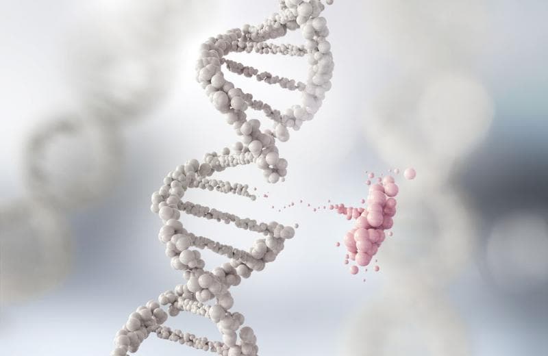 Ilustrasi: Faktor genetika bisa membuat seseorang rentan ataupun kebal terhadap penyakit tertentu. (Getty Images/Istockphoto)