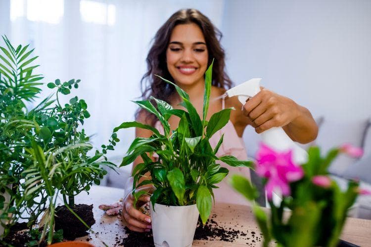 Membangun komunikasi dengan tanaman dapat membuat pertumbuhannya lebih baik. (Shutterstock/Dragana Gordic via Kompas)