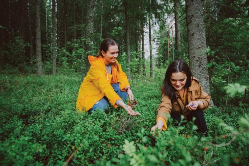 Ilustrasi: Menghargai alam adalah bagian dari sustainable travel (Lakeland Finland/Julia Kivelä)