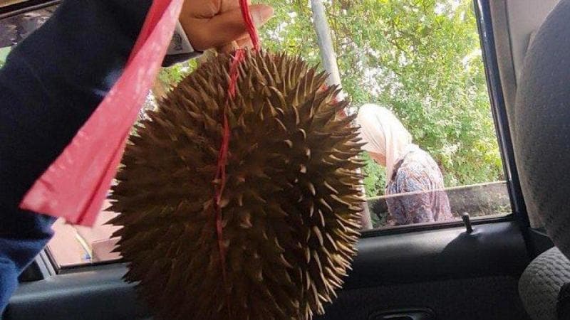 Durian Celeng, Viral Setelah Banyak Orang Kecewa dan Merasa Tertipu