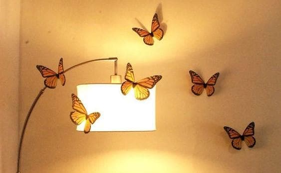 <i>FYI</i>, kupu-kupu membutuhkan cahaya untuk berkembang. (Pinterst/Heidi's Hubbub)