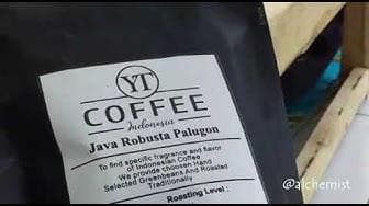 Belum banyak yang tahu kalau Palugon menjadi salah satu penghasil kopi robusta terbaik di Cilacap. (Youtube/Dino'z Chanel)