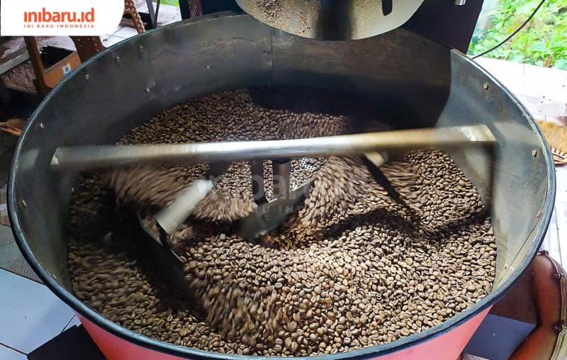 Komoditas Kopi di Pati; Kualitas Istimewa, tapi Kenapa Kurang Berjaya?