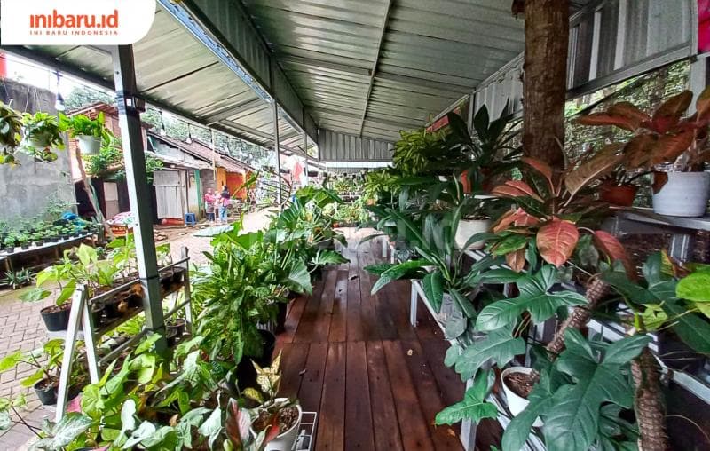 Penampakkan shelter aneka ragam tanaman hias yang dijual di Kampoeng Flora. (Inibaru.id/ Fitroh Nurikhsan)