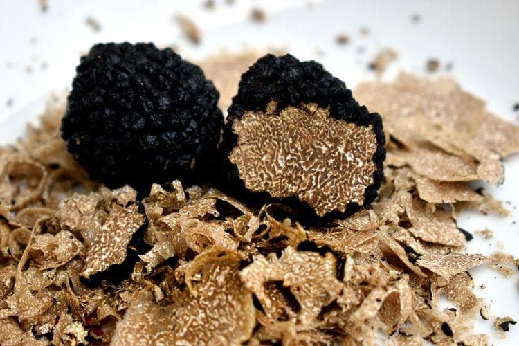 Truffle, jamur langka berharga puluhan juta rupiah. (Pixabay/Mrdidg via Kompas)