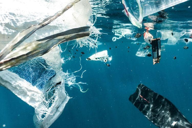 Sampah plastik mencemari lautan. (Unsplash/Bertolt Jensen via Kompas)