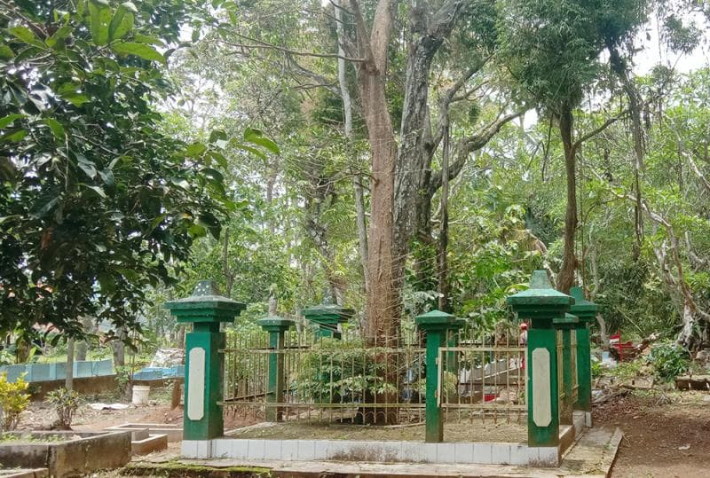 Pohon tembaga yang disebut-sebut jadi tonggak lokasi awal sejarah Banyumas. (Babadbanyumas.com)