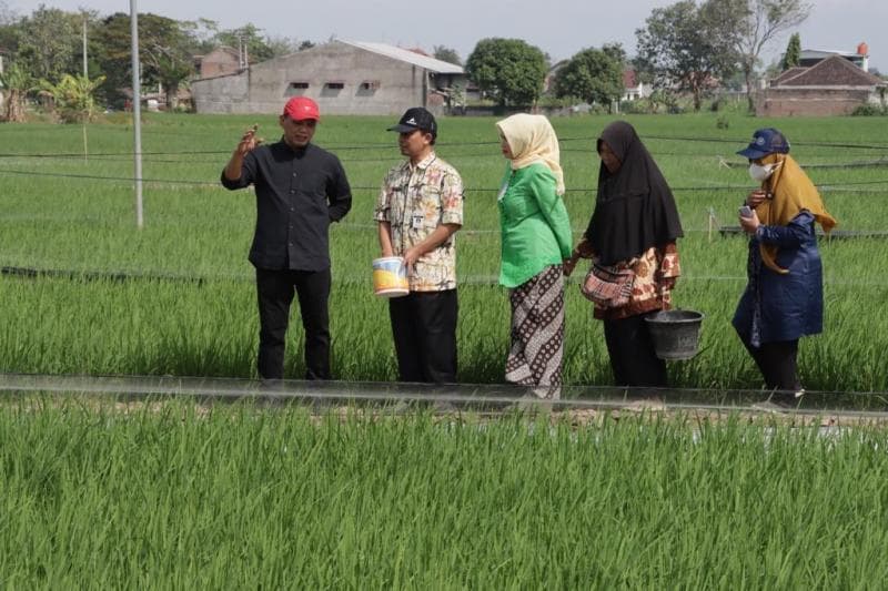 Ketua DPRD Jateng Sumanto mendukung sistem pengembangan mina padi di Kabupaten Karanganyar, Jateng. (Dok. DPRD Jateng)