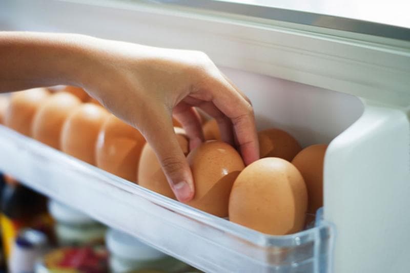 Telur dan Produk Susu Sebaknya Nggak Disimpan di Pintu Kulkas