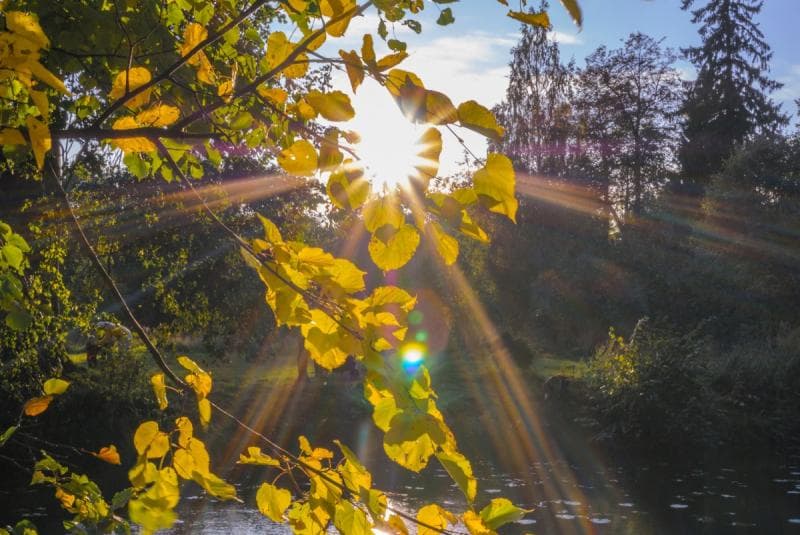 Tanpa Kita Sadari, Warna-Warni Bunga Mengalami Perubahan
