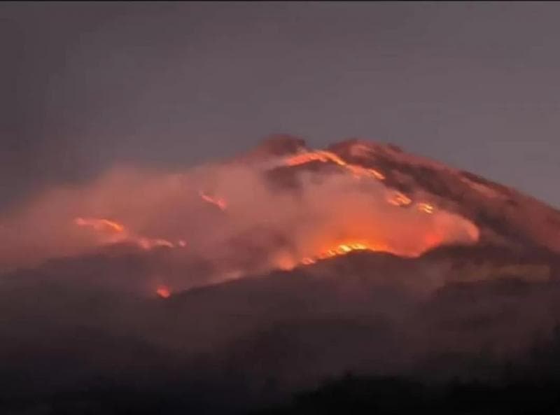 Kebakaran Gunung Sumbing, Puluhan Pendaki Dievakuasi