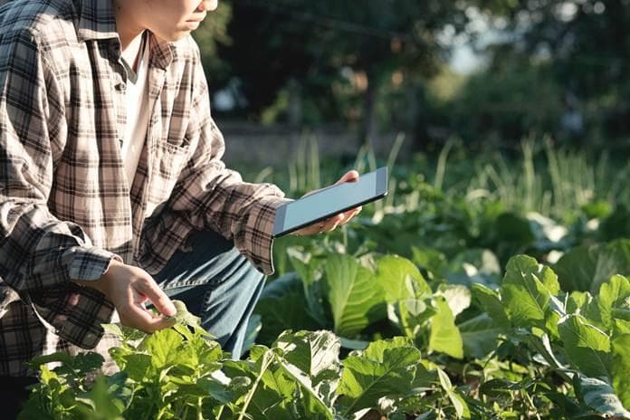 Ilustrasi: Konsep metafarming memungkinkan anak muda untuk  bisa menjadi petani secara digital. (Shutterstock)