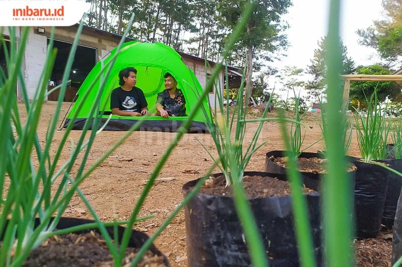 Camping di Omah Sari Gunung; View Malam Hari Paling Indah