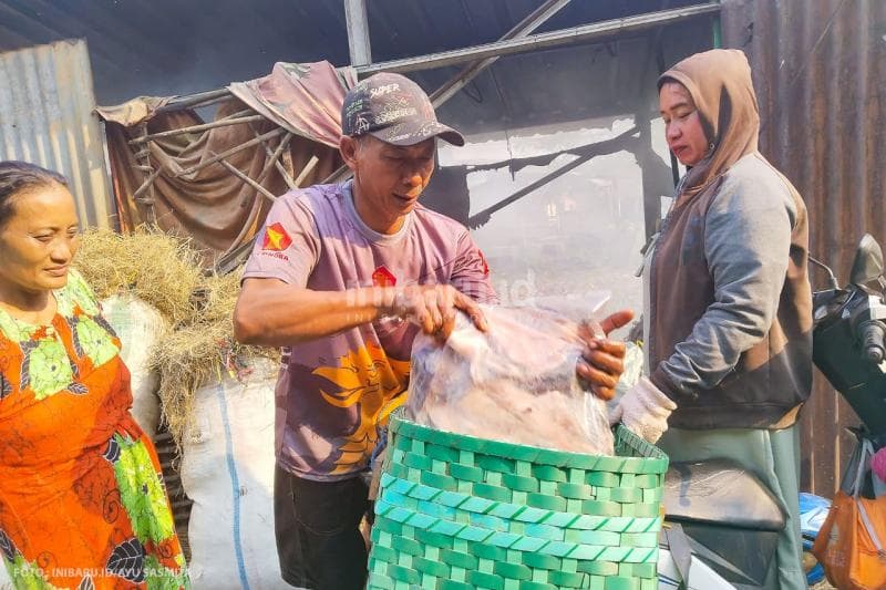 Nelayan asal Juwana, Kabupaten Pati, mengantarkan ikan laut untuk diproses menjadi ikan asap di Desa Cabean, Kecamatan Demak, Kabupaten Demak.&nbsp;