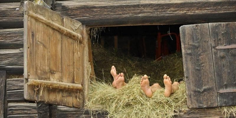 Sejarah 'Indehoi', Kata Serapan Bahasa Belanda yang Berkonotasi Negatif