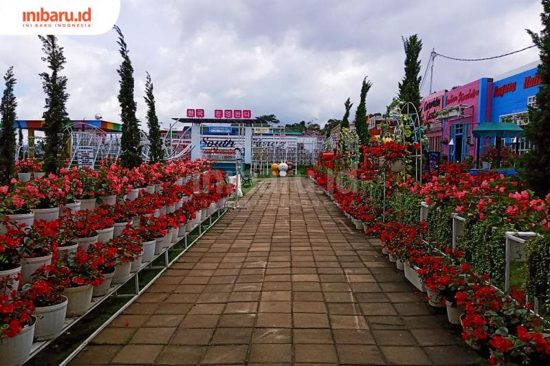 Kondisi taman bunga Celosia. (Inibaru.id/ Zulfa Anisah)