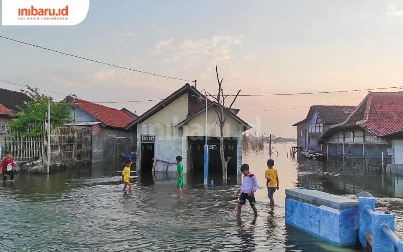 Hari-Hari di Dukuh Pangkalan; Belasan Tahun Dibekap Rob, Terus-menerus Tinggikan Rumah