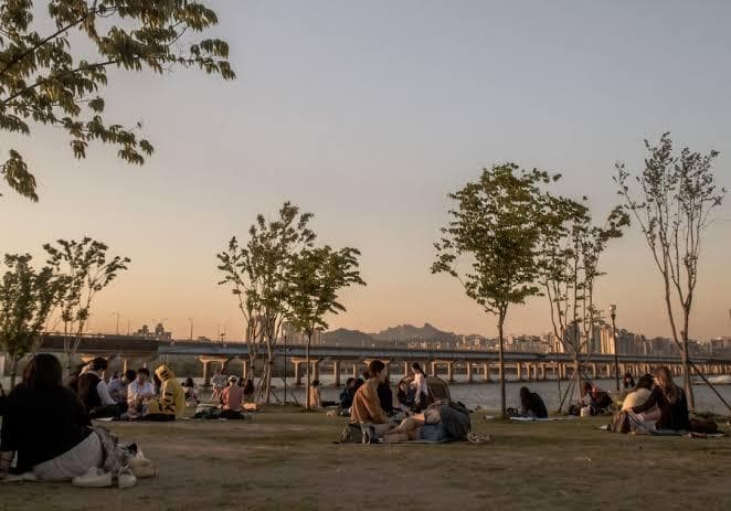 Musim Panas Seru dengan Piknik di Pinggir Sungai Han, Seoul
